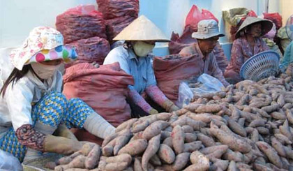 Nhiều loại nông sản Việt tìm được thị trường mới
