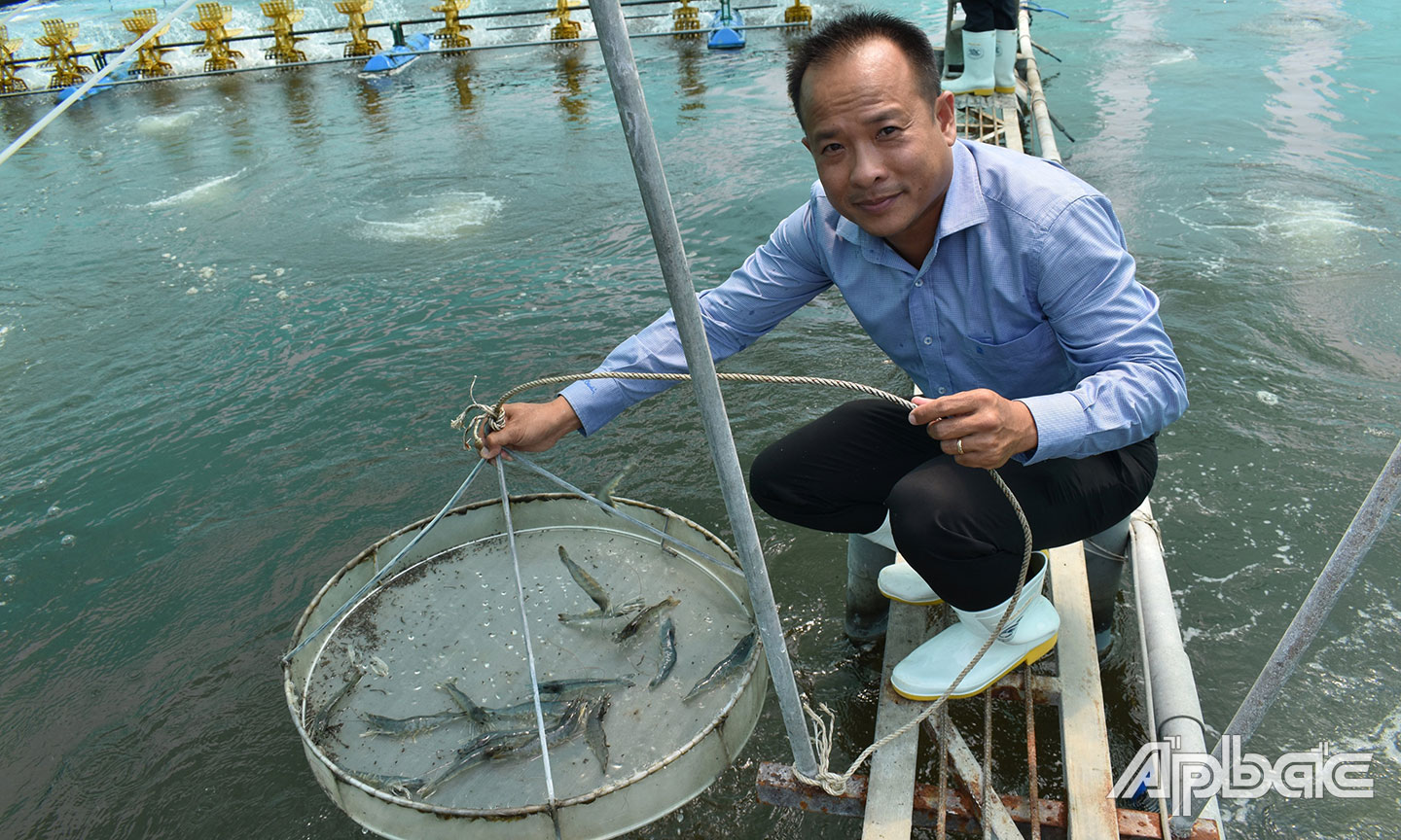 Mô hình nuôi tôm công nghệ cao của Công ty TNHH Thủy sản Tuấn Hiền mang lại hiệu quả cao.