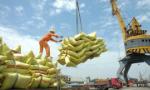 Giá xuất khẩu gạo của Việt Nam tăng cao