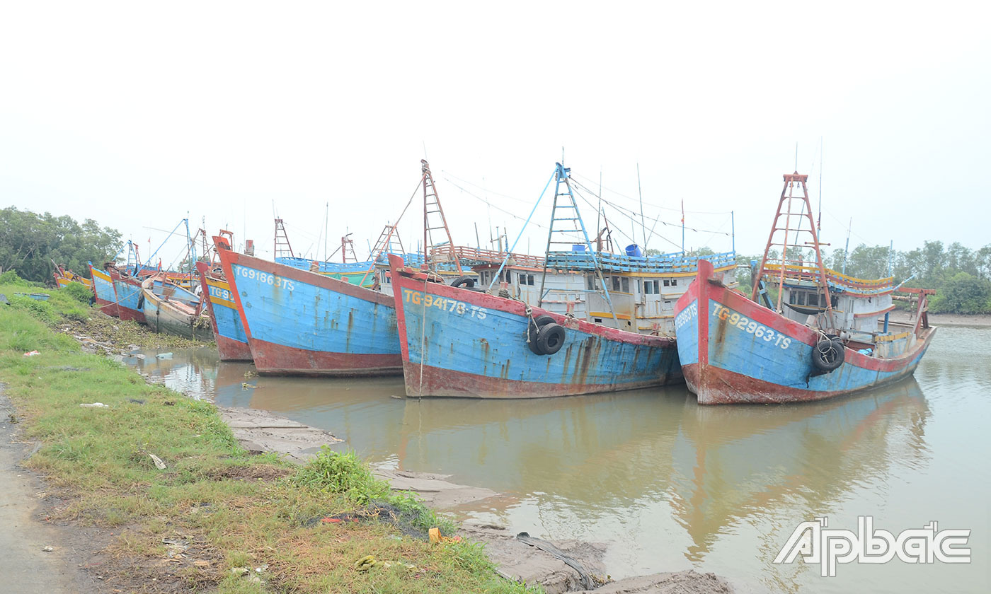 Từ đầu năm đến nay, tỉnh Tiền Giang không có tàu cá vi phạm vùng biển nước ngoài bị bắt giữ.