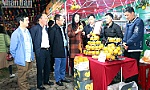 Ha Tinh hosts Orange and Agricultural Products' Festival 2023