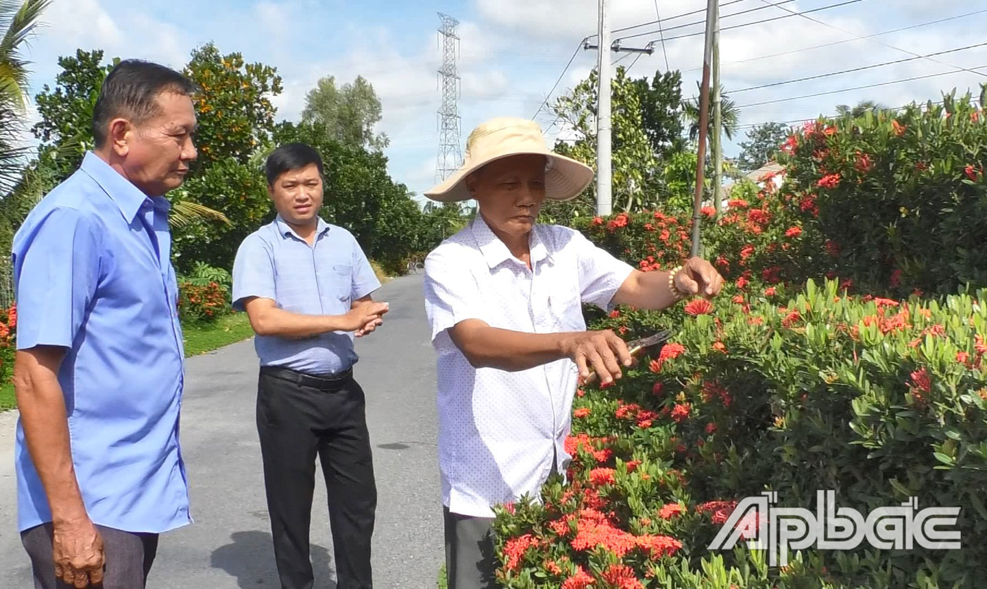 Ông Lê Hoàng Nam (bìa phải) làm hàng rào  hoa trang đỏ dọc theo tuyến đường Bắc kinh Cả Gáo trong 5 năm qua. Ảnh: QUẾ NGÂN