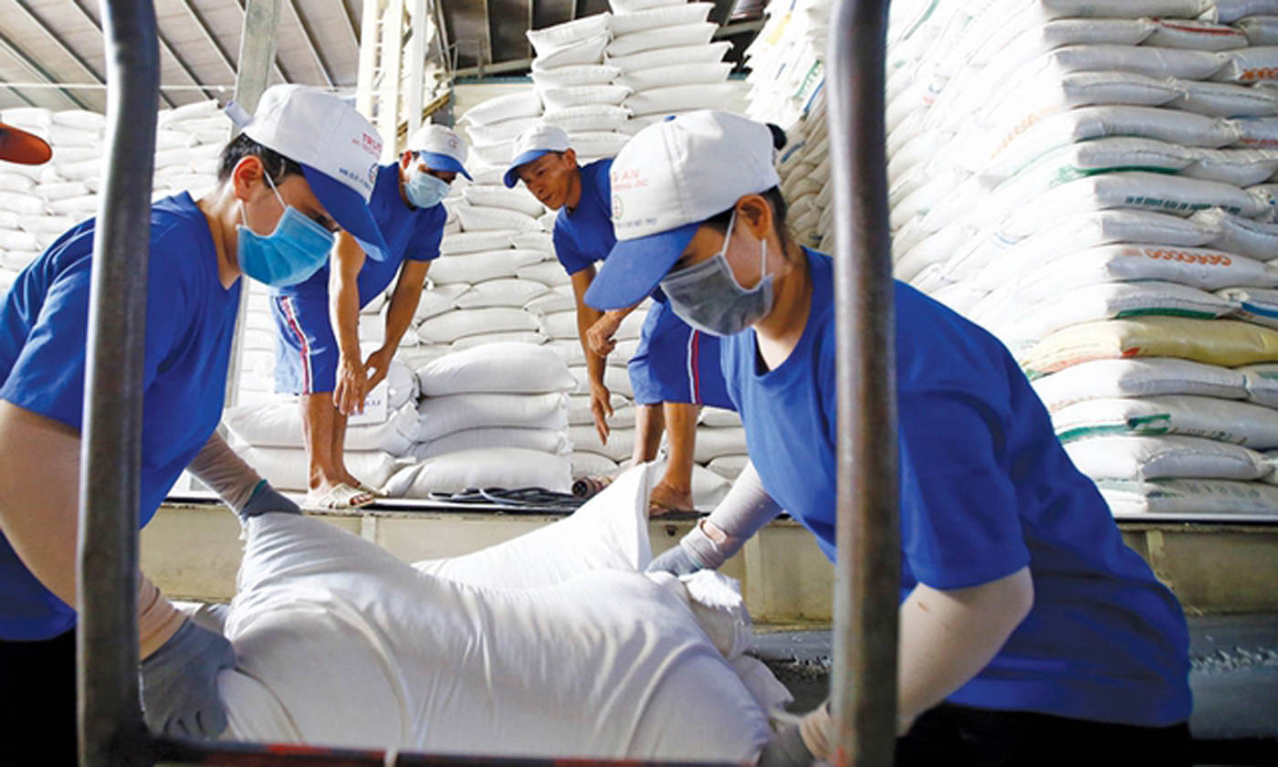 Không chỉ được cấp phép nhập khẩu chính ngạch, mà gạo thương hiệu Việt bán với giá rất cao - Ảnh minh họa