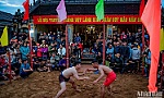 Sinh Village wrestling festival generates excitement among crowds in Hue
