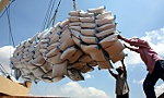 Dự báo xuất khẩu gạo của Việt Nam năm 2023 đạt 6,5 - 7 triệu tấn