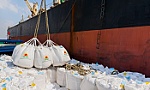 Xuất khẩu gạo: Nhiều cơ hội bứt phá