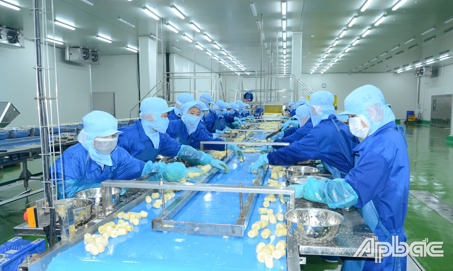 Dây chuyền chế biến rau quả cấp đông của Nhà máy chế biến nông sản của Công ty Cổ phần Công nghiệp thực phẩm Thabico tại xã Bình Ninh, huyện Chợ Gạo, tỉnh Tiền Giang.                                                                                            Ảnh: MINH THÀNH