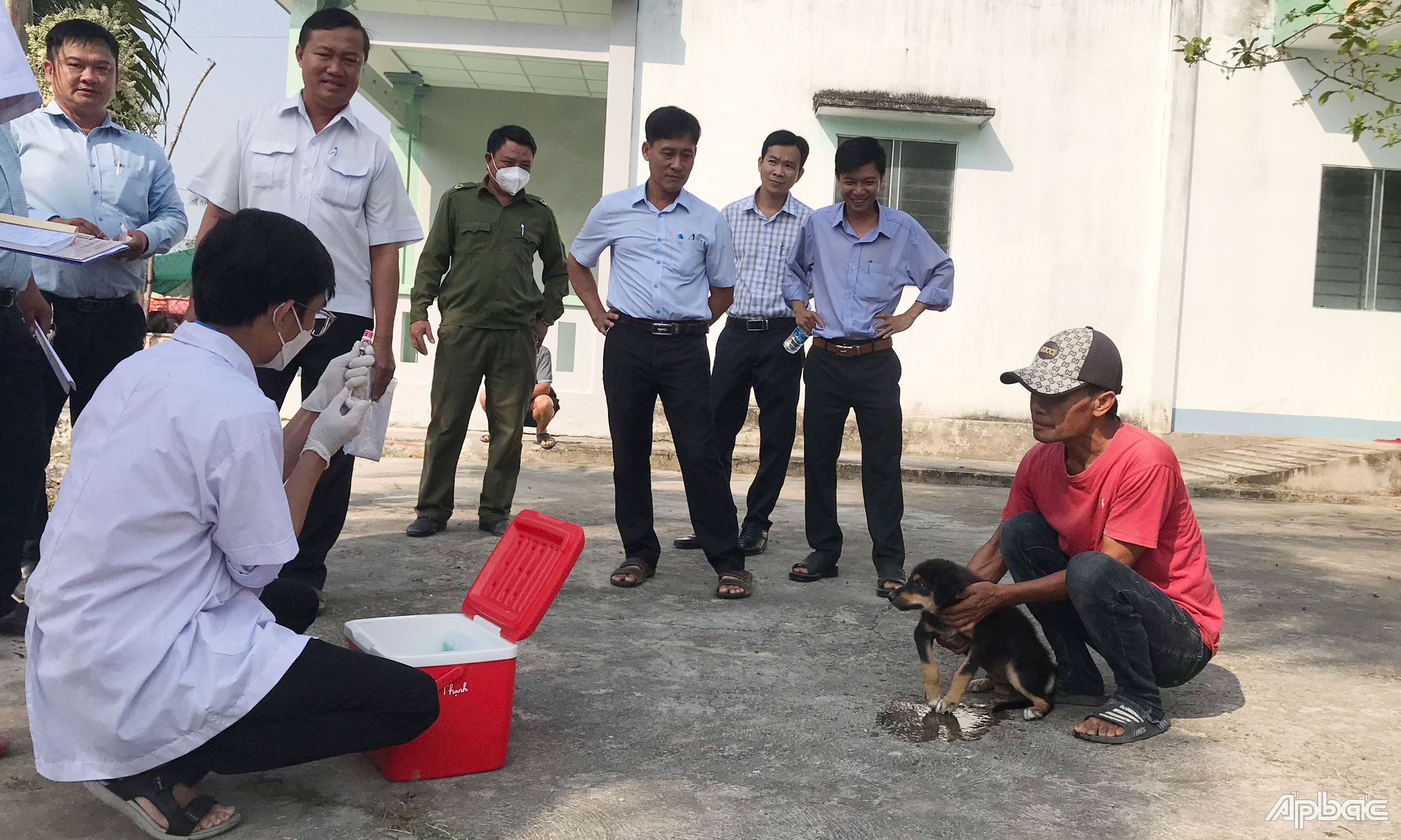 Tiêm phòng vắc xin bệnh dại trên chó, mèo tại địa bàn xã Long Vĩnh.