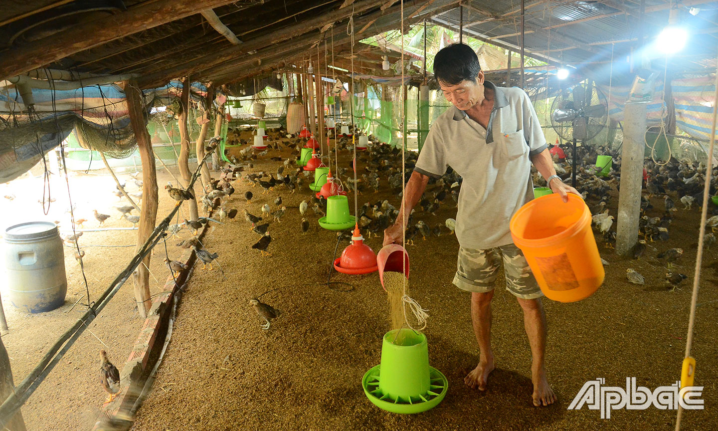 Người chăn nuôi cần đảm bảo yêu cầu khi thực hiện vệ sinh tiêu độc khử trùng chuồng, trại. 