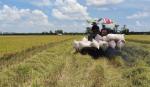 Nhiều tín hiệu tích cực cho xuất khẩu gạo của Việt Nam