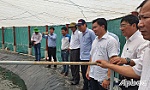 Huyện Tân Phú Đông cần quan tâm phát triển vùng thủy sản tiềm năng