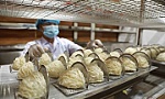 Vietnamese bird's nests see opportunities to enter Chinese market