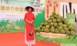 Thêm 47 vùng trồng sầu riêng đạt tiêu chuẩn xuất khẩu sang Trung Quốc