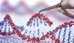Trung Quốc phát triển công cụ chỉnh sửa gene mới