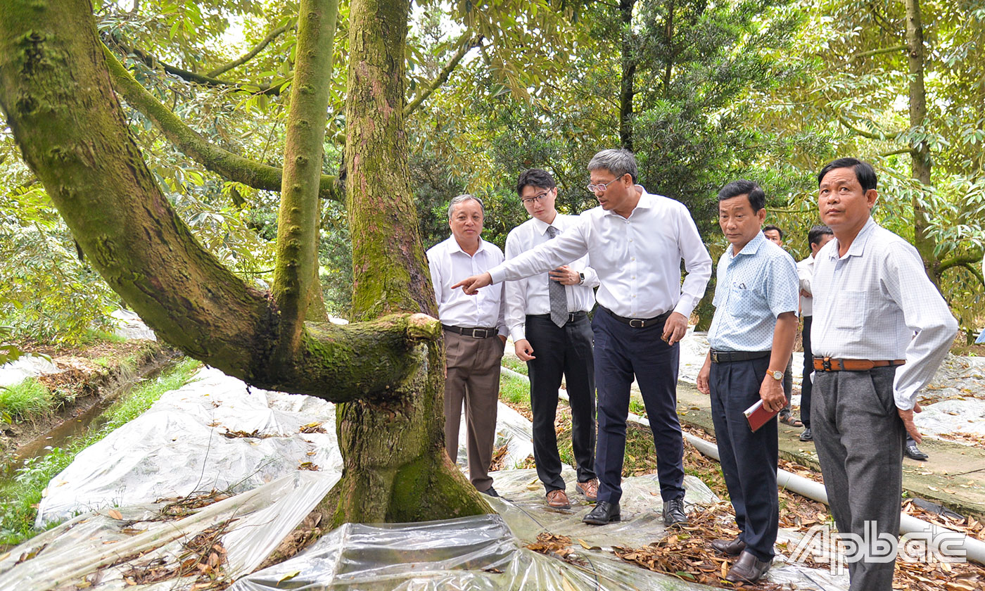 Tổng Lãnh sự quán Trung Quốc tại TP. Hồ Chí Minh tham quan Tiền Giang