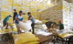 Hỗ trợ nông dân, doanh nghiệp trước biến động thị trường lúa gạo