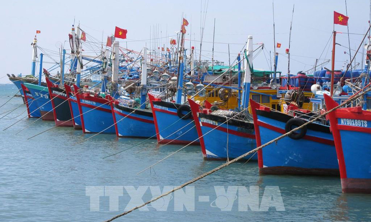 Việt Nam đang đi đúng hướng và có cải thiện tích cực