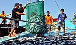 Quyết liệt triển khai các giải pháp cấp bách chống khai thác hải sản bất hợp pháp