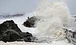 Các tỉnh, thành phố từ Quảng Ninh đến Kiên Giang chủ động ứng phó với gió mạnh trên biển