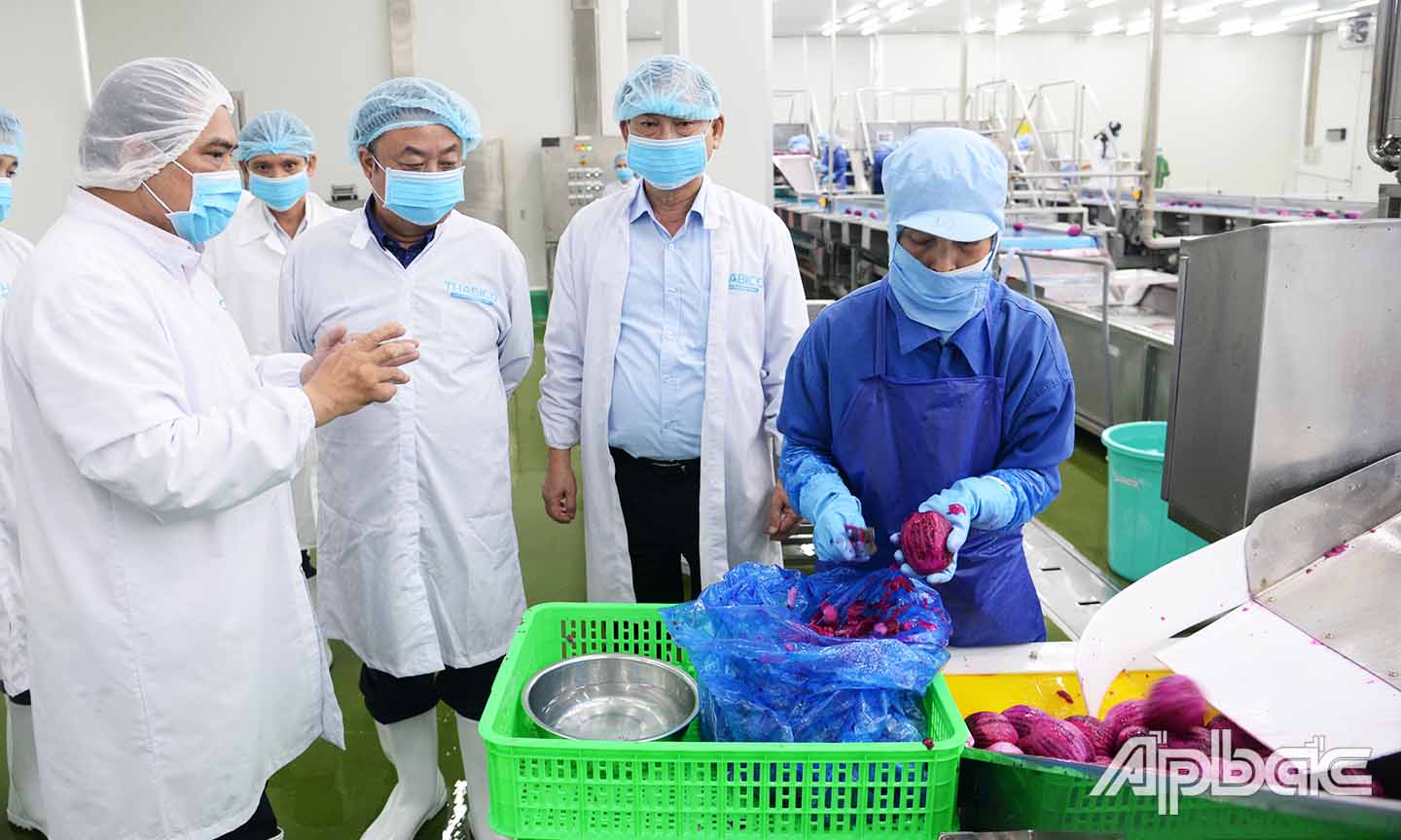 Bộ trưởng Lê Minh Hoan khảo sát các công đoạn sản xuất tại THABICO Tiền Giang.