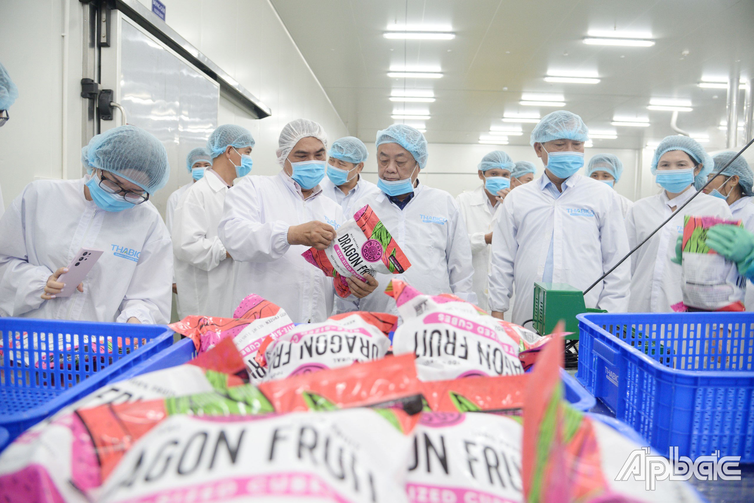 Bộ trưởng Bộ Nông nghiệp và Phát triển nông thôn Lê Minh Hoan và lãnh đạo tỉnh Tiền Giang thăm Công ty cổ phần Công nghiệp thực phẩm Thabico - Tiền Giang (huyện Chợ Gạo).  Ảnh: CAO THẮNG