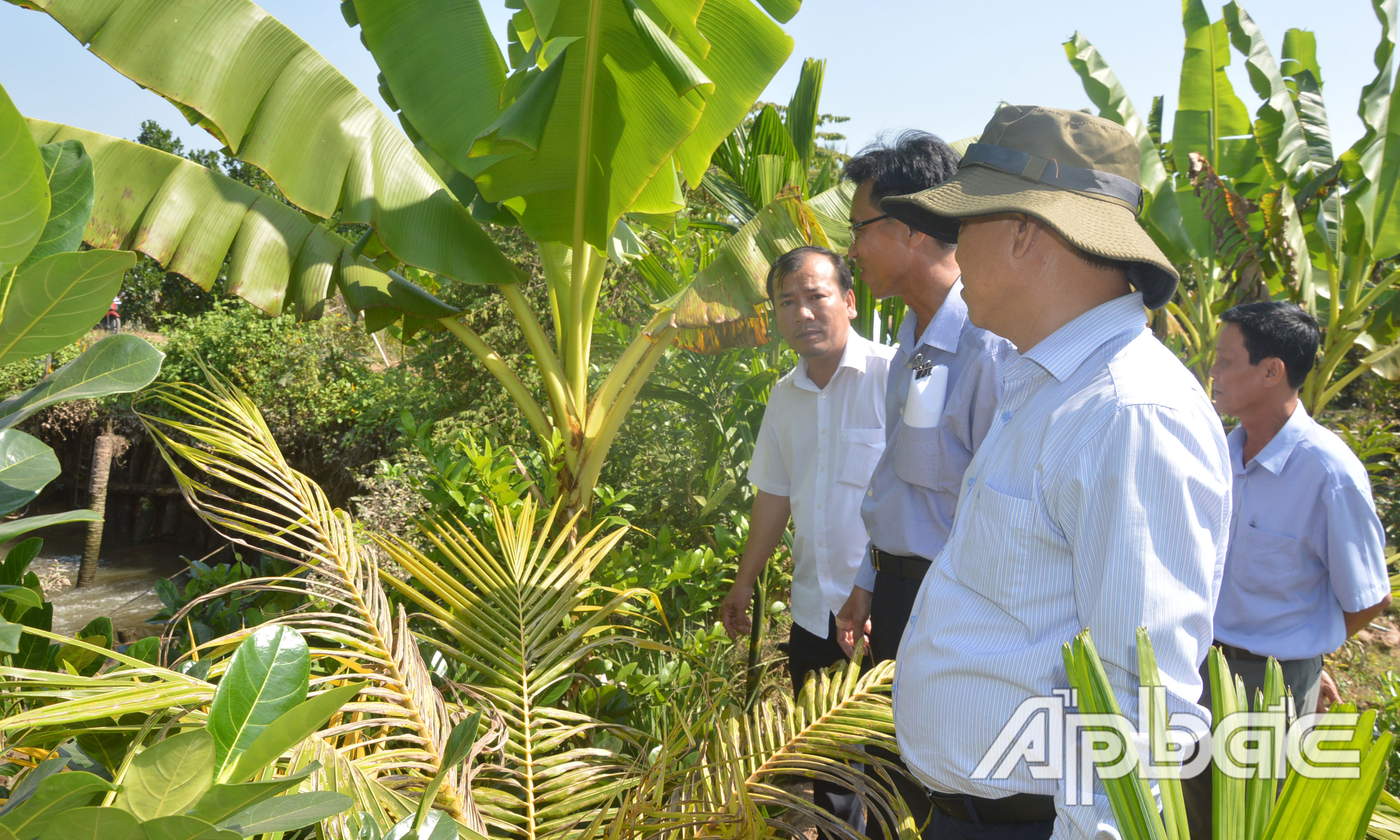 Đồng chí Nguyễn Văn Vĩnh khảo sát đập thép ngăn mặn, trữ ngọt tại xã Ngũ Hiệp được đầu tư vào năm 2020.