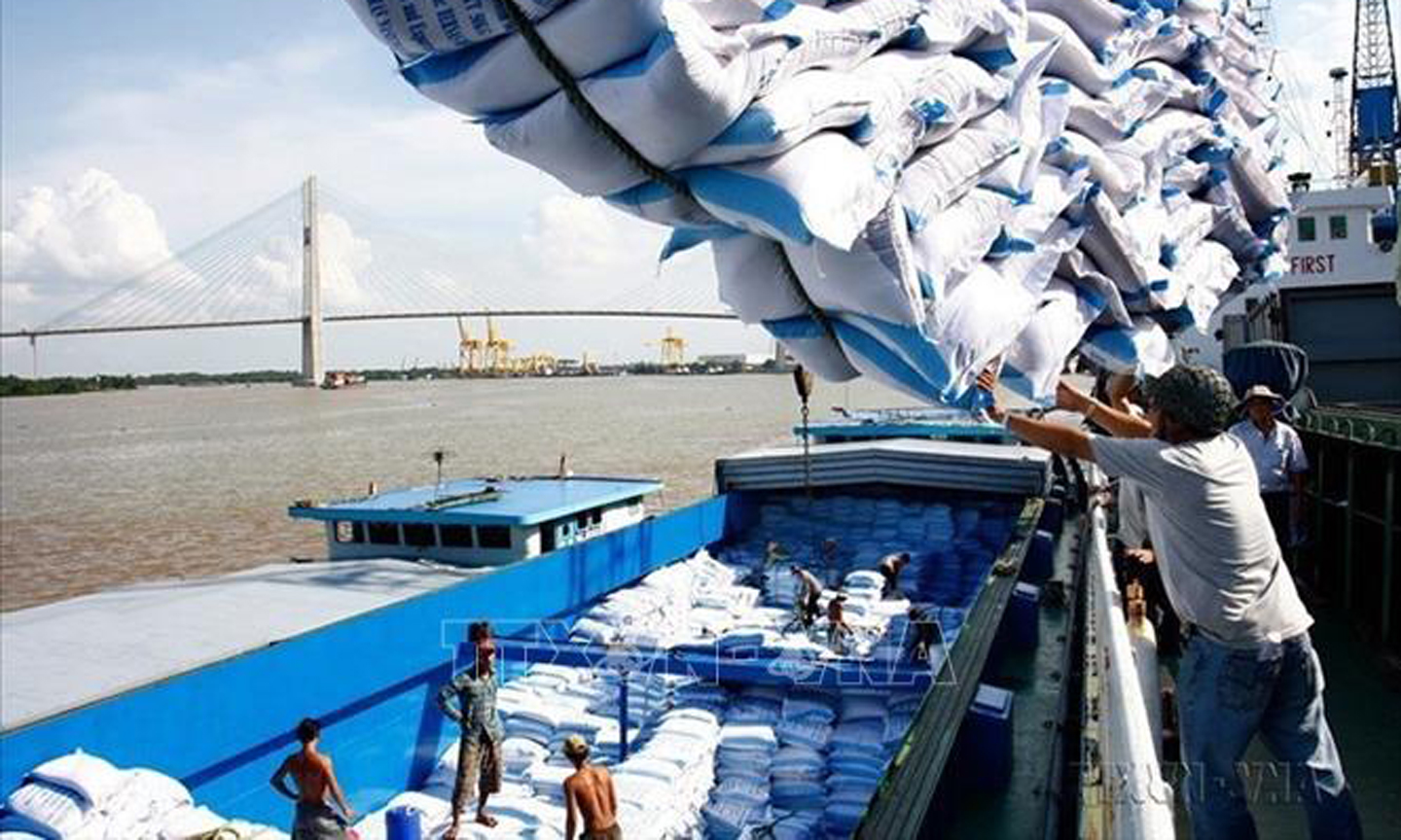Bốc xếp gạo xuất khẩu qua cảng Sài Gòn. Ảnh tư liệu, minh họa: Đình Huệ/TTXVN
