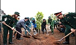 Chỉ thị về tổ chức Tết trồng cây và tăng cường quản lý, bảo vệ, phát triển rừng
