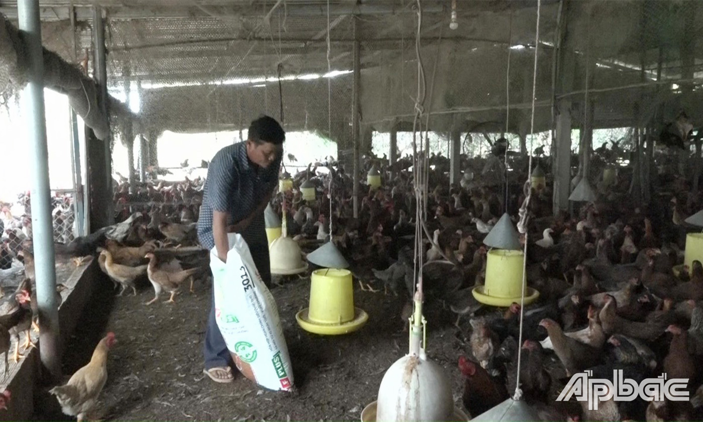 Trại nuôi gà của anh Huỳnh Văn Đạt là địa điểm cho ngành chăn nuôi của xã đến tổ chức nhiều đợt tham quan, hướng dẫn, học hỏi kinh nghiệm chăn nuôi gà cho 