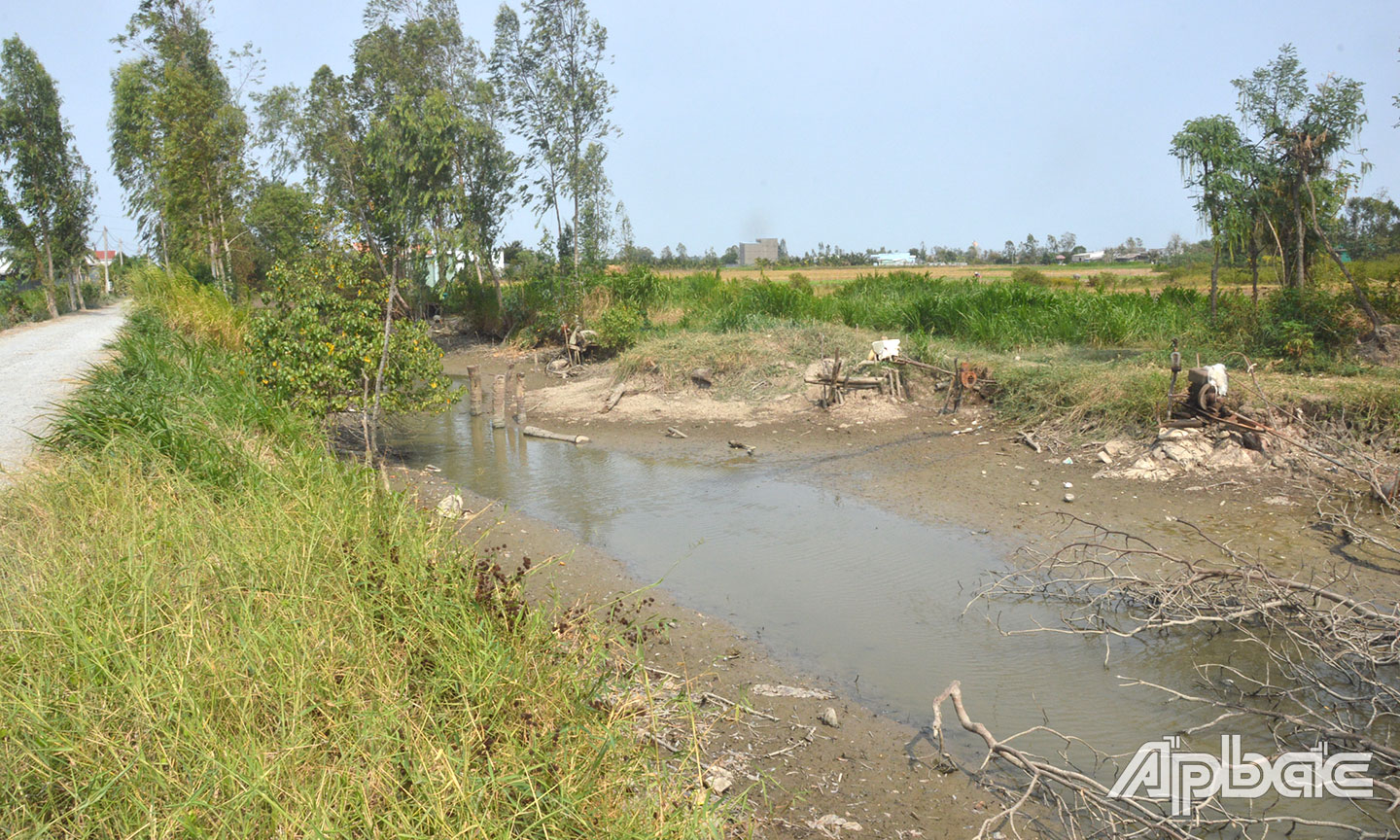 Kinh, rạch tại vùng Ngọt hóa Gò Công đang khô cạn.