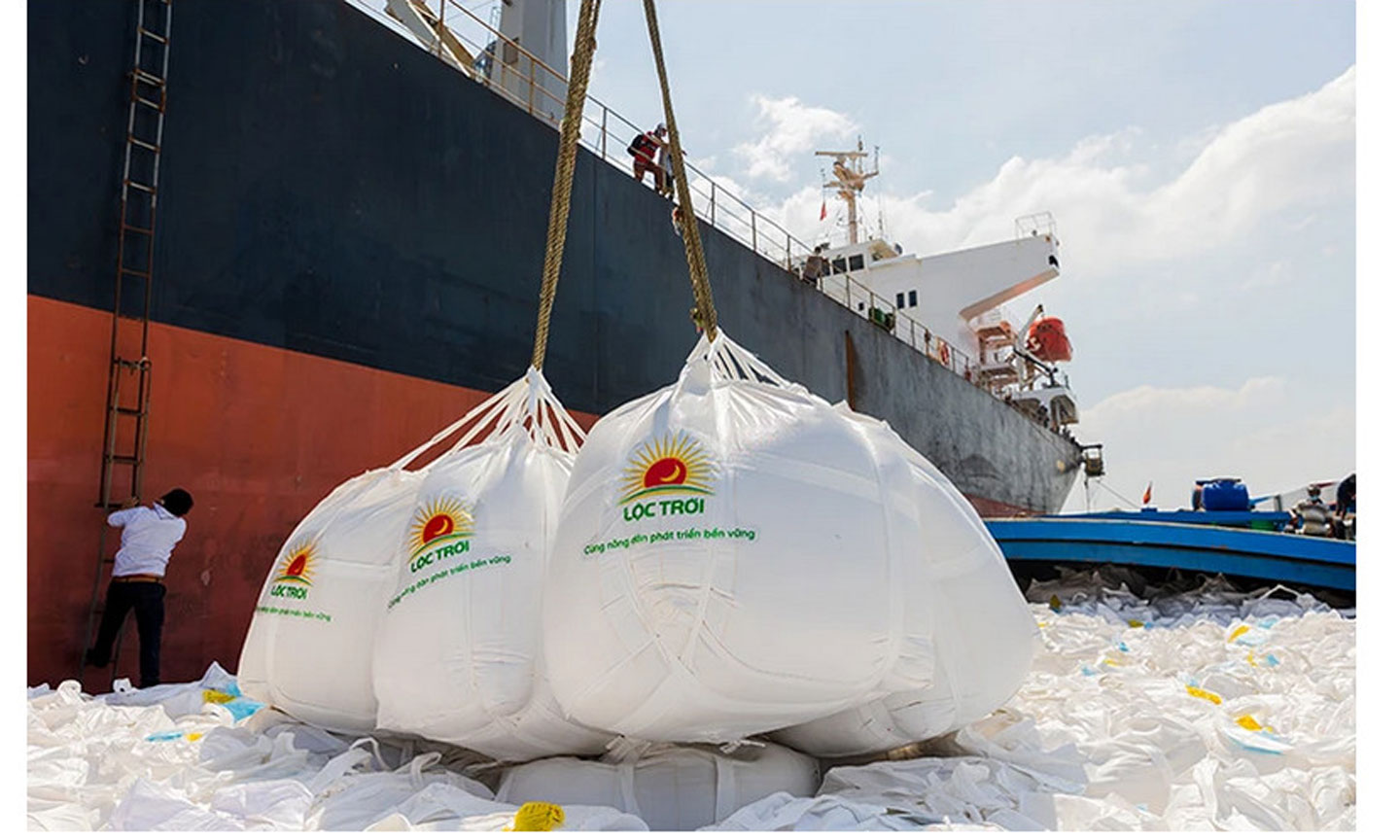Gạo của Công ty CP Tập đoàn Lộc Trời được đưa tới cảng để xuất khẩu. (Ảnh MINH AN)