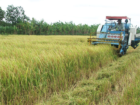 Máy gặt đập liên hợp Tư Sang - một trong những sản phẩm của Tiền Giang tham gia Hội chợ triển lãm.