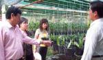 Khi xã ven khai thác lợi thế