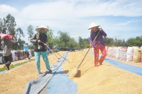 Dịch vụ sân phơi của tư nhân.