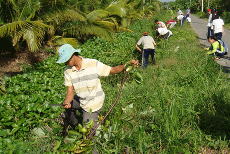 Làm thông thoáng dòng chảy