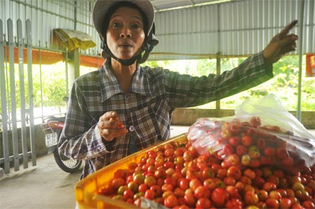 Nông dân bức xúc khi sơri Brazil rớt giá.