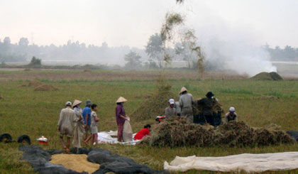 Các đảng viên tham gia hoạt động kỷ niệm Ngày thành lập. Ảnh: Tân Hoa Xã