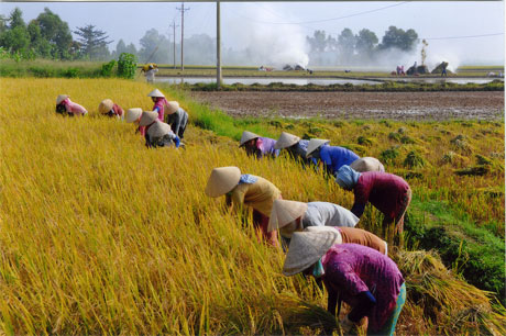 Chủ tịch UBND tỉnh chỉ đạo