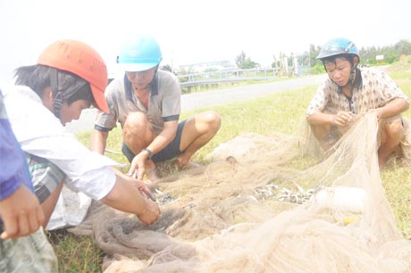 Người dân kéo được nhiều cá kếnh, cá đối