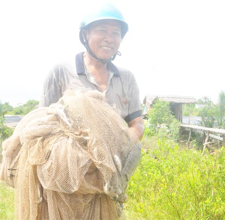 Ông Ba Đấu bội thu cá kếnh, cá đối.