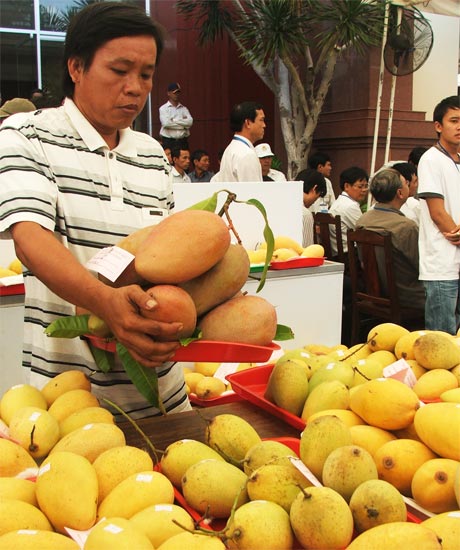 Nhiều cơ chế, chính sách đặc thù liên quan đến nông nghiệp sẽ được bàn thảo, đề xuất thực hiện trong thời gian tới.