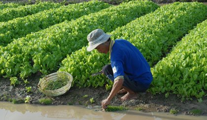 Ảnh Duy Sơn