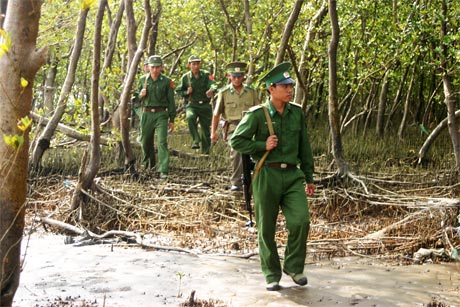 Tuần tra bảo vệ rừng phòng hộ. Ảnh: P. LONG