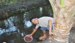 Xã Tân Thới (Tân Phú Đông): Bức xúc về nước sinh hoạt