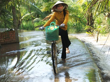 Khả năng ngập lụt ngày càng tăng ở các tỉnh ĐBSCL. Ảnh: M.Anh