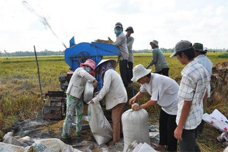 Nông dân còn gặp nhiều khó khăn do giá cả đầu ra không ổn định.