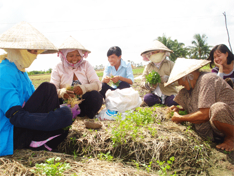 Vần đổi công góp phẩn cải thiện đời sống nông dân. Ảnh: H.NGA