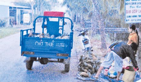 Hàng ngày, chiếc xe Trung Quốc này chở khóm bán lẻ trên nhiều tuyến đường thuộc P.9, TP. Mỹ Tho. Ảnh chụp trên đường Trần Thị Thơm.