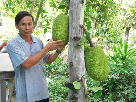 Ông Hồ Văn Lập.