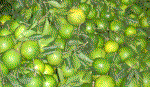 Vitamin tăng cường sức khỏe chống rét